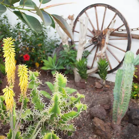 Апартаменти Guatiza *